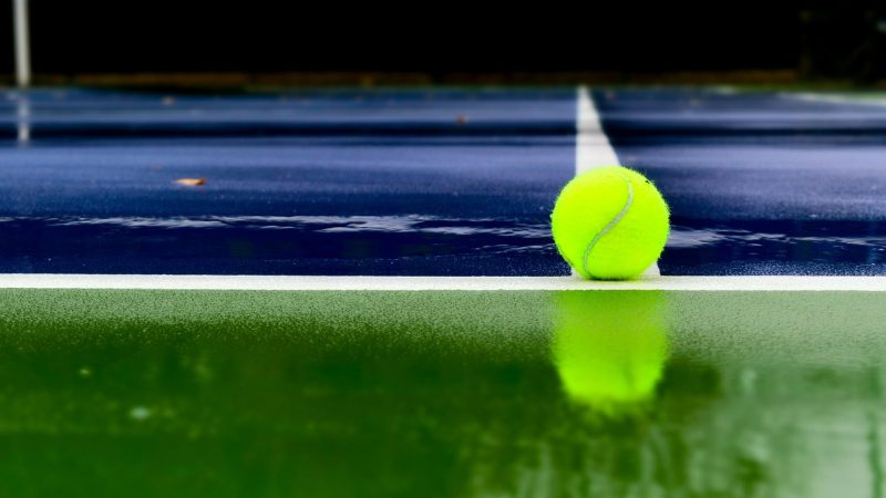 Entre la Despedida de un Gigante y la Polémica: Djokovic Llega a la Argentina en Medio de un Conflicto Político