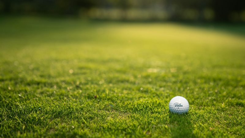 El examen final del PGA TOUR: todo o nada en el RSM Classic