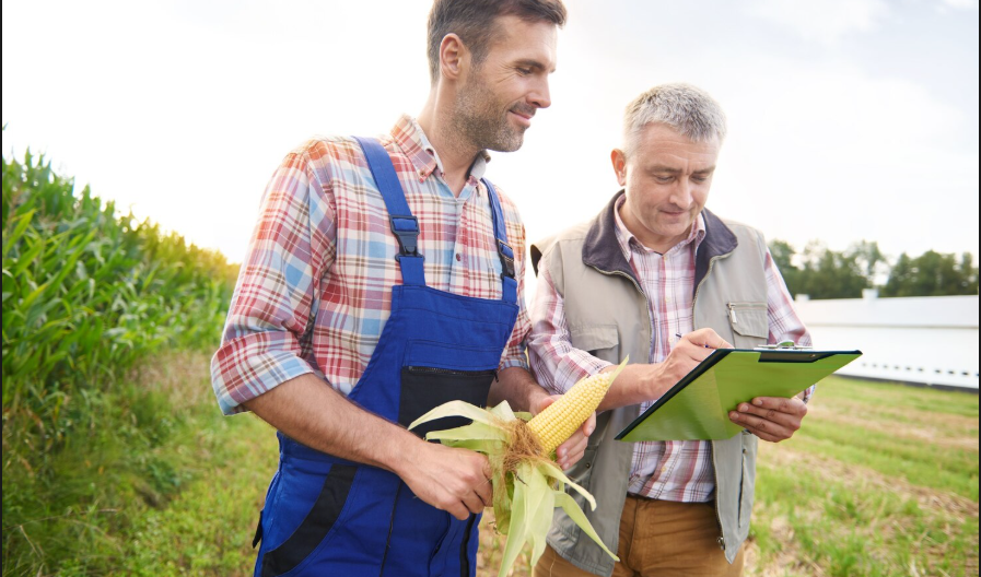 Farmers Inheritance Tax Explained