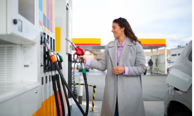 New Zealand Petrol Stocks