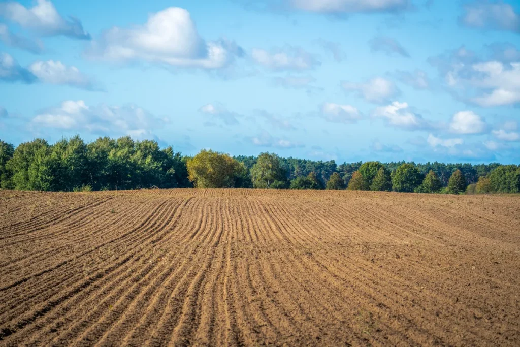 Suntex South Texas Acquisition Closes at $2.5M for 100 Acres Suntex South Texas acquisition